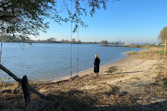 Petrus in het land: Woorden van god