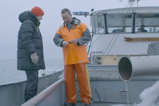 Keuringsdienst van Waarde - Mosselen (3)