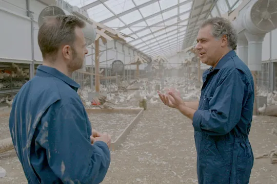 Keuringsdienst van Waarde - Eendagskuiken (2)