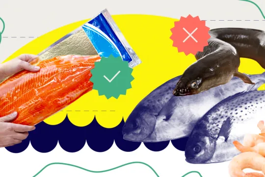 zalm en tonijn design pointer stijl 