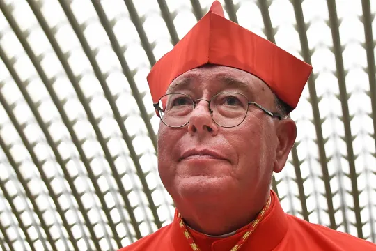 Kardinaal Hollerich SJ