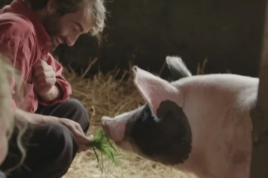 bram met varken