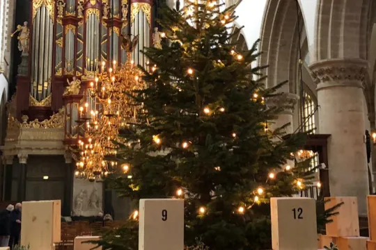 Advent in de St. Bavo.jpeg
