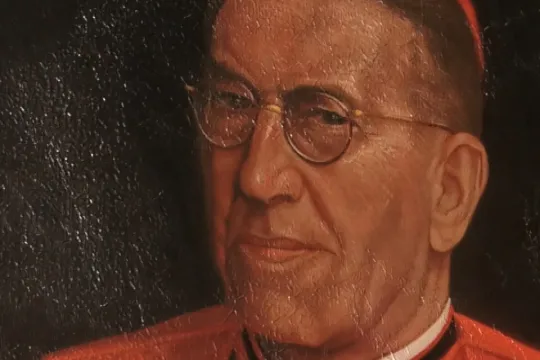 Kardinaal de Jong - Schilderij vrijheidskapel Utrecht