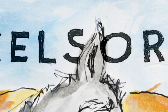 Ezelsoren