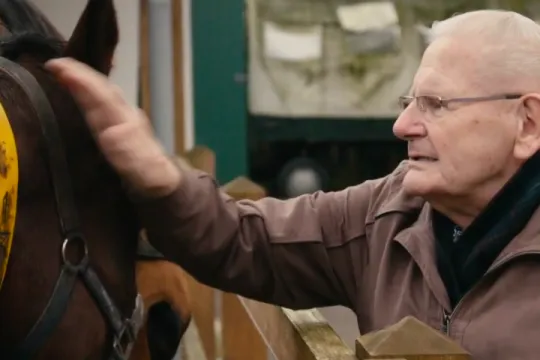 Man met paard