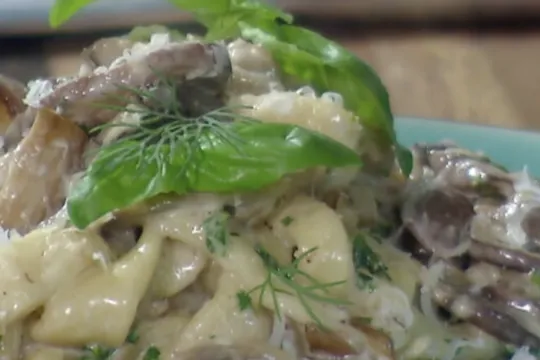 Vers gemaakte pasta met bospaddestoelen, dragon en Pecorino