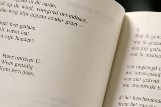 Wat ik gewild heb