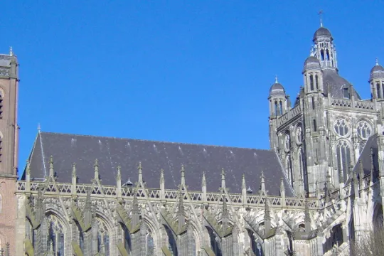 Sint-Jan - Den Bosch winter totaal