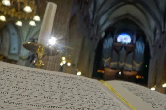 Sneek - Martinuskerk - interieur