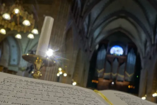 St. Martinuskerk Sneek - interieur