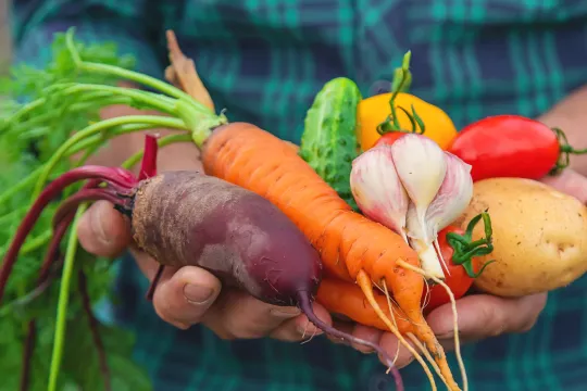 groenten beter niet rauw eten