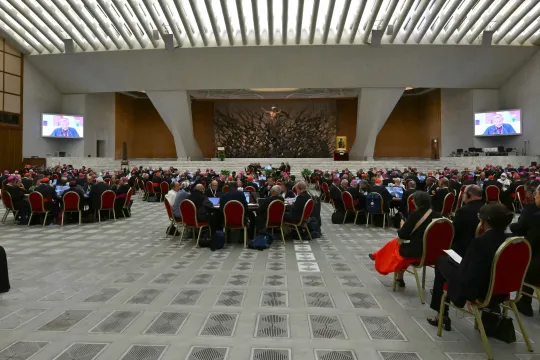 A general view shows the Second Session of the 16th Ordinary General Assembly of the Synod of Bishops at the Paul VI audience hall on October 2, 2024 in The Vatican. Andreas SOLARO / AFP