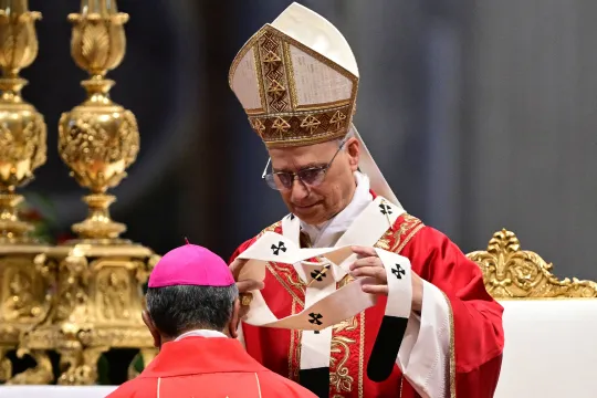 A new archbishop receives the pallium from Pope Leo XIV during a mass on the day of Saints Peter and Paul feast at St Peter's basilica in The Vatican, on June 29, 2025. Tiziana FABI / AFP