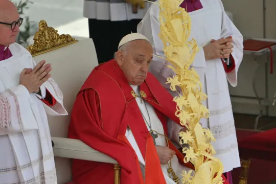 Pope Francis presides the Palm Sunday mass at St Peter's square in the Vatican on March 24, 2024.  Alberto PIZZOLI / AFP