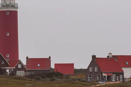 Texel