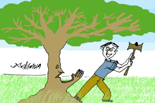 Kappen van bomen