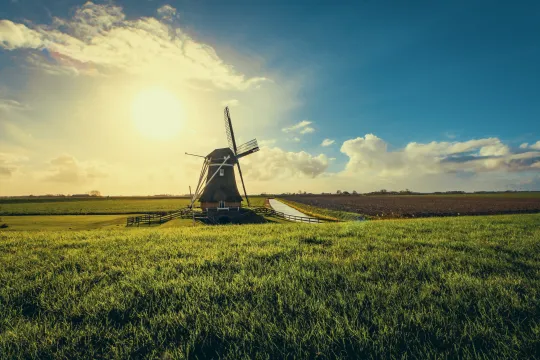 Windmolen in een weiland