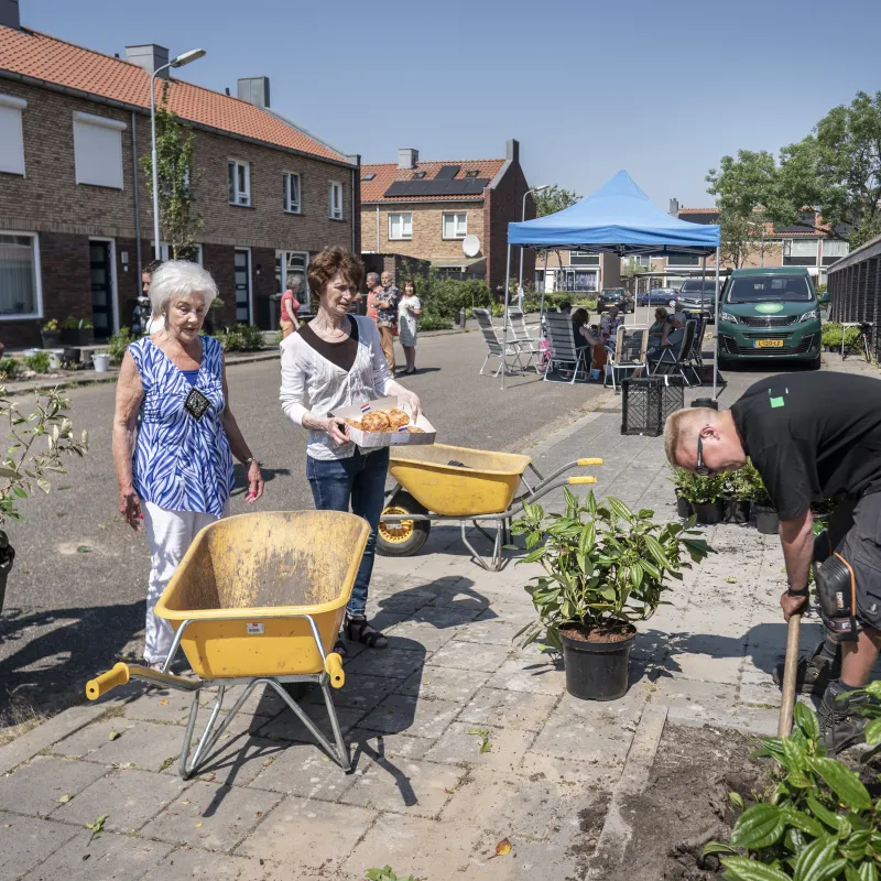 Bewoners vergroenen hun straat