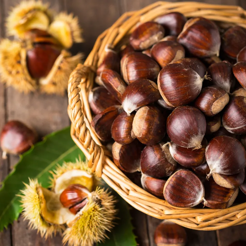 tamme kastanje eten recepten