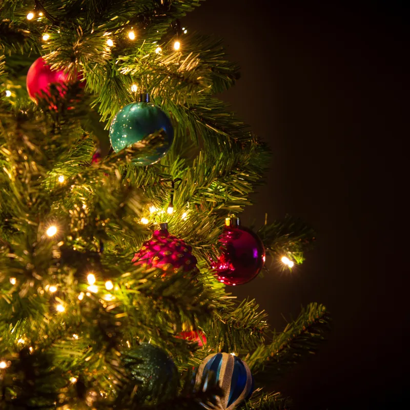 BinnensteBuiten - Kost de stroom van kerstlampjes echt 120 euro per maand? (En hoe je direct bespaart)