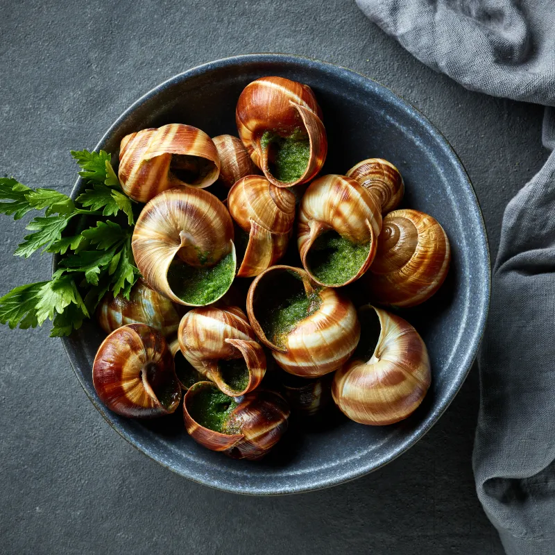 Escargots - Slakken - Keuringsdienst van waarde