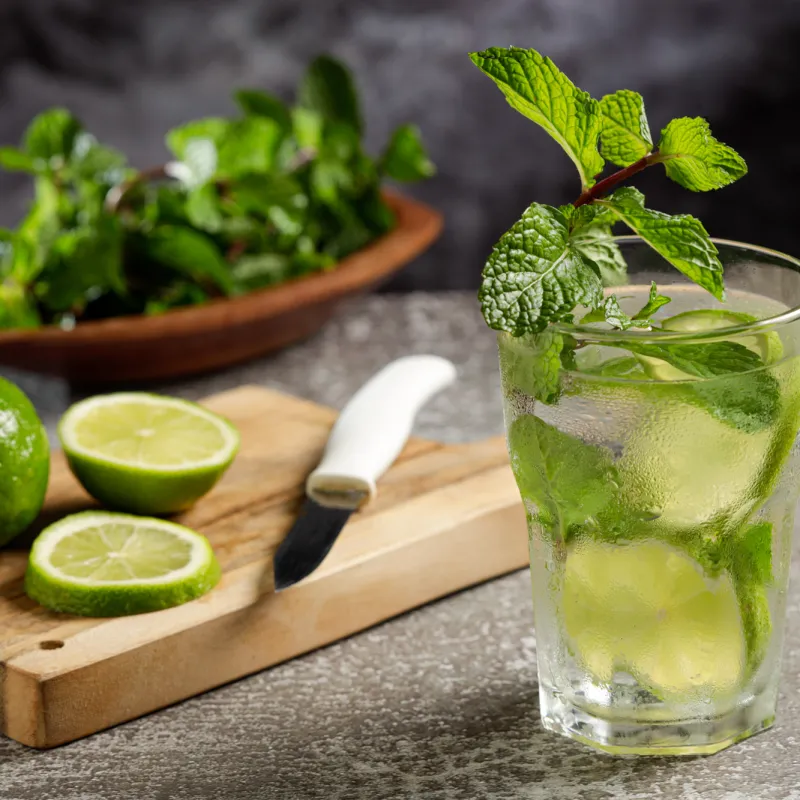 een huis vol alcoholvrij mojito recept