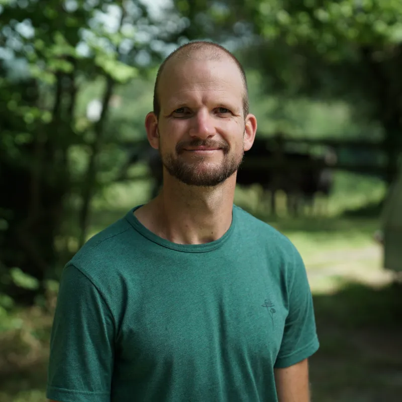 Thomas in Onderweg naar liefde