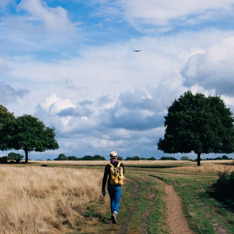 iemand die door een landschap wandelt