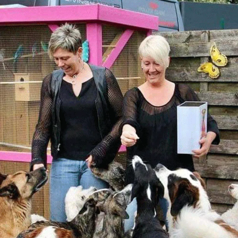 Petra en Jolanda geven honden een thuis 