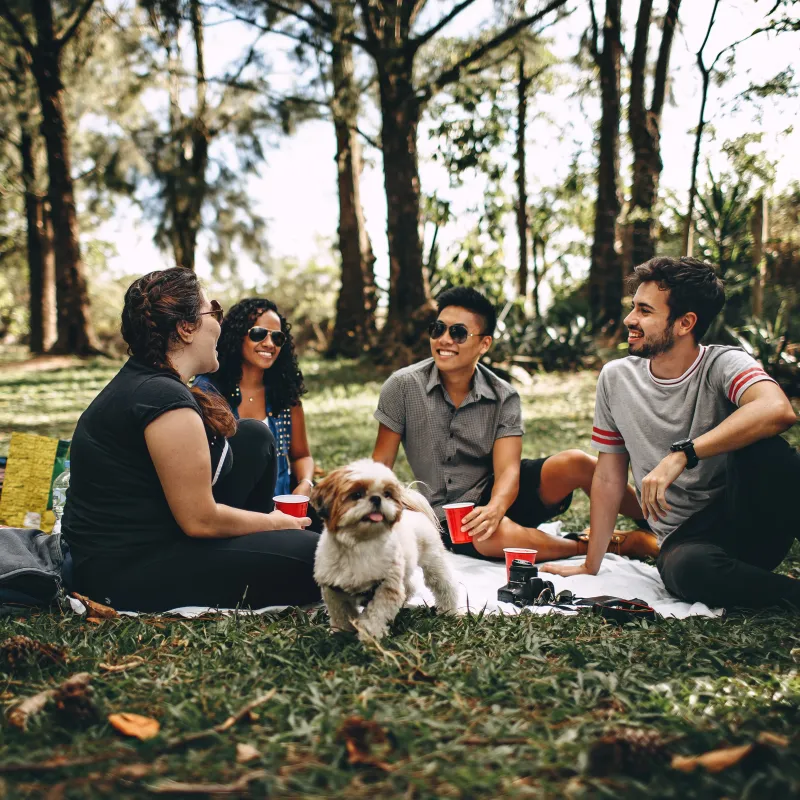 Picknicken in de zomer