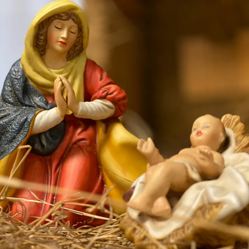 Kindje Jezus al gespot in kerststal op Grote Markt in Brussel | NWS Kindje Jezus al gespot in kerststal op Grote Markt in Brussel | NWS