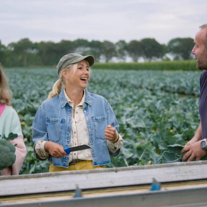 drie mensen aan het oogsten
