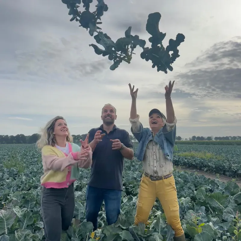 drie mensen gooien broccoli's omhoog in een broccoliveld