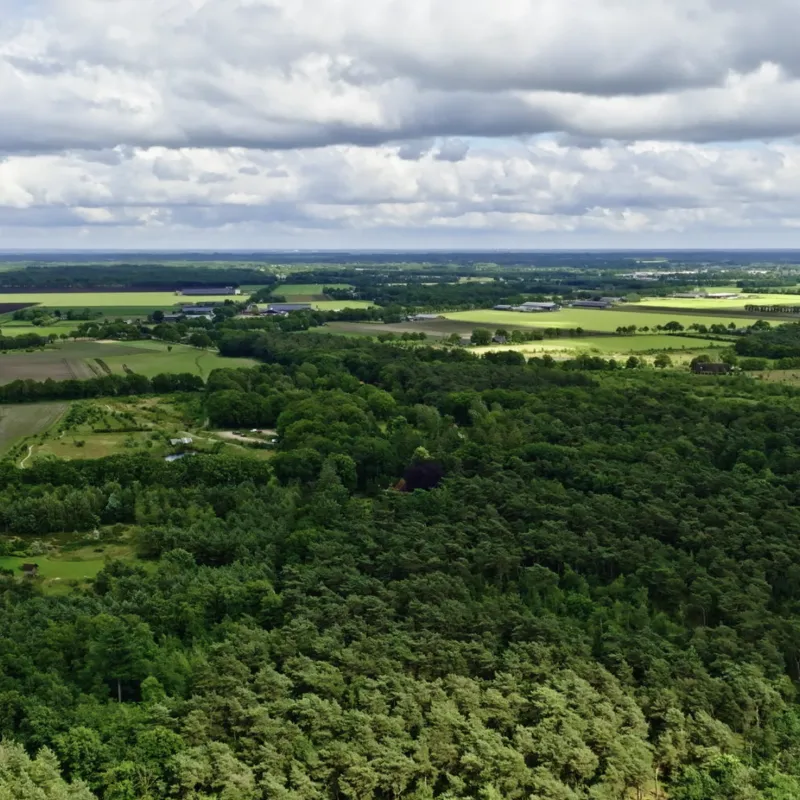 natuur zentijd