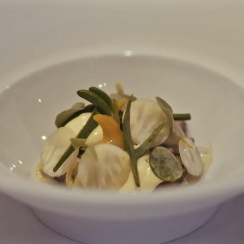 Bord met culinair gerecht met kokkels en lam