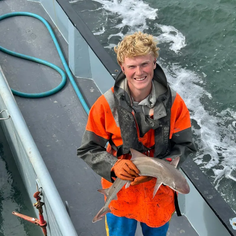 Een jongen staat op een boot met een kleine haai in zijn handen