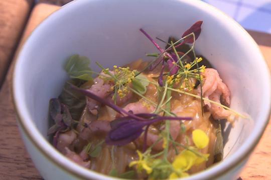 griekse recepten 5x lekkerste binnenstebuiten dolma