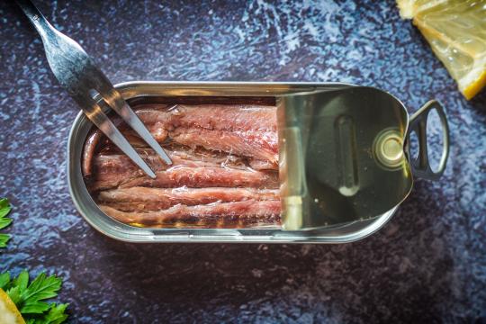 smaakmakers ansjovis in blik - binnenstebuiten