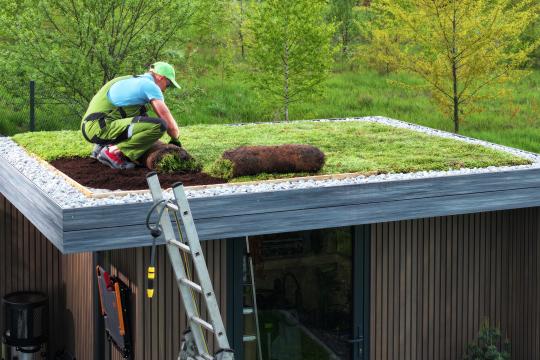 12 straten groen: 4 voordelen van een Groene daken