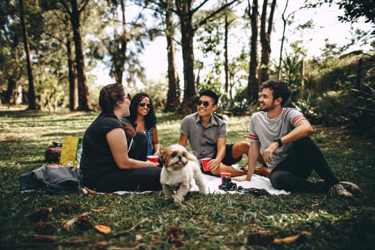 Picknicken in de zomer