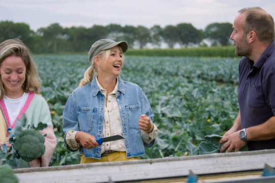 drie mensen aan het oogsten