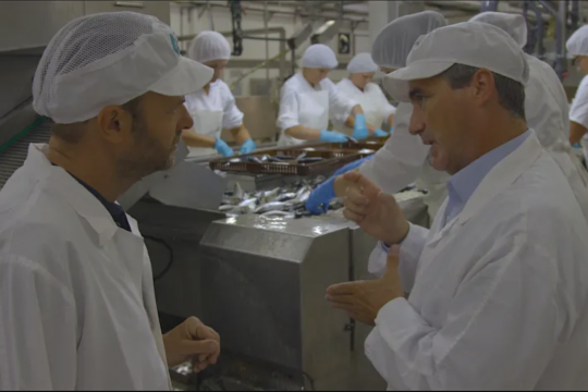 Sardines - Keuringsdienst van waarde