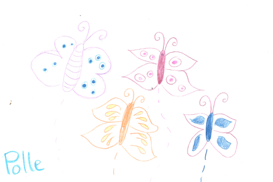 vlindertekening