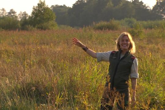 wandelen_-_binnenstebuiten.jpeg wandelen_-_binnenstebuiten.jpeg