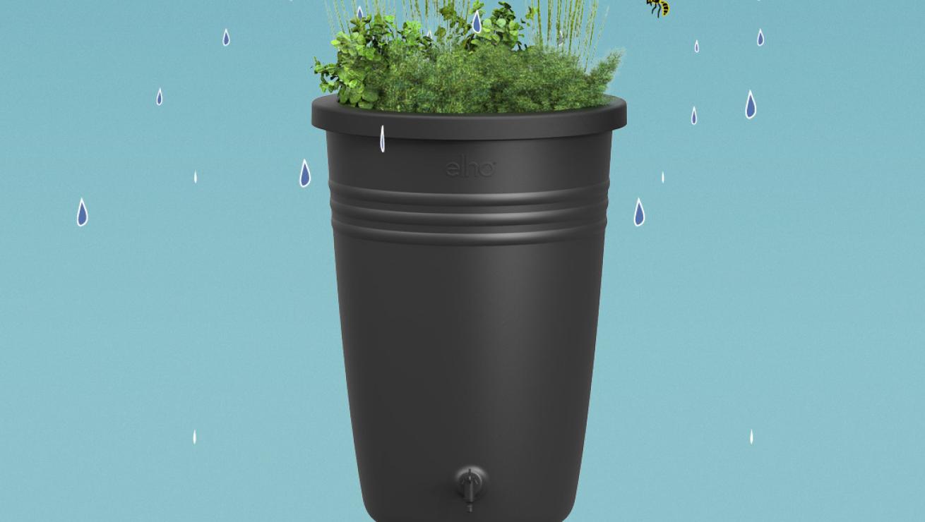 Test je groene kennis en maak kans op een ton