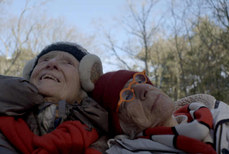 2Doc: liefsteling 