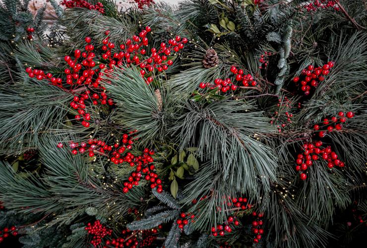 Kerst met Petrus in het land