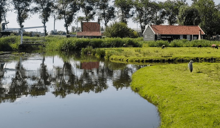 KRO-NCRV's Pointer - Illegale bestrijdingsmiddelen