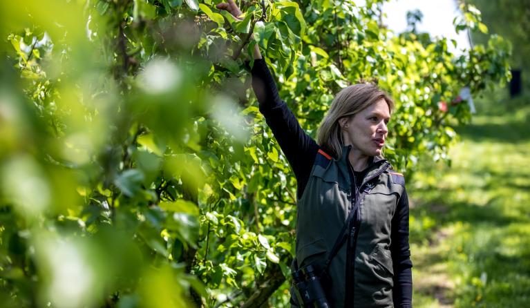 Marieke Schatteleijn